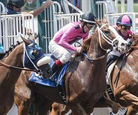Illinois Residents Get Involved in Sale of Arlington International Racecourse