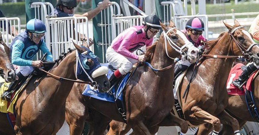 Illinois Residents Get Involved in Sale of Arlington International Racecourse